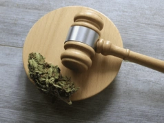 Ustawa o depenalizacji marihuany – burza w Sejmie