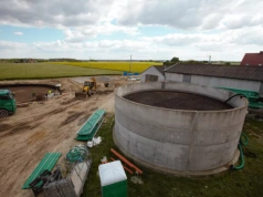 Gnojowica i obornik pod kukurydzę. Jakie dawki na hektar?