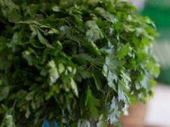 Nie wyrzucaj zwiędłej natki pietruszki. Możesz ją uratować w prosty sposób