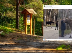 "Skrajnie niebezpieczny trend". Park narodowy apeluje do turystów