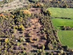 Obrońcy przyrody triumfują: SKO wstrzymuje inwestycję na Sarnim Stoku