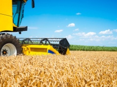 Rolnicy zmieniają podejście do produkcji. Efekty widać w plonach