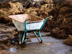 Komisja Europejska nie przedłużyła terminu realizacji budowy szczelnej płyty obornikowej. Posypią się kary?