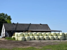 Ceny sianokiszonki, słomy i siana: jakie ceny tej wiosny?