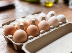 Jajka białe czy brązowe? Naukowcy rozwiewają wątpliwości