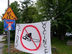 Nie będzie wycinki 500 drzew. Budowa 12 wieżowców i 10 hoteli wstrzymana