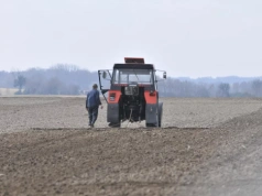Czynsze za ziemię rosną. Rolnicy boją się, że słabsi wypadną z gry