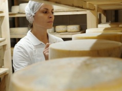 Dotacje na przetwórstwo 2026. Nawet 500 tys. zł dla rolników