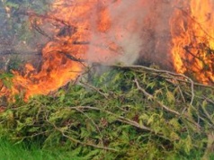 Sypią się wysokie mandaty. Kara to nawet 5 tys. zł