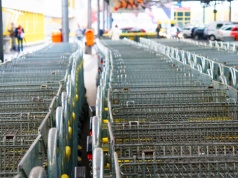 To koniec, w tym sklepie zakupów przez internet już nie zrobisz. Fatalna wiadomość dla Polaków