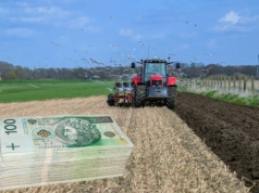 Ponad 110 ha ziemi do wzięcia. KOWR ogłasza przetarg