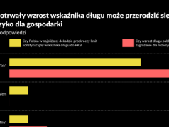 Dług dojdzie do limitu konstytucyjnego. Ekonomiści spierają się o skutki