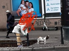 Mokotów. Przywiązała psa na automatycznej smyczy tuż przy samej ulicy