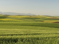 463 hektary trafiły do magnata hotelowego. Rolnik podał jeden powód