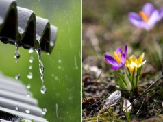 Taka pogoda będzie w majówkę. Modele ECMWF nie pozostawiają złudzeń