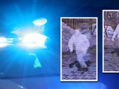 Tajemnicze poszukiwania nieznajomej. Policja pokazała nagranie