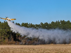 Strażacy i leśnicy ratowali las przed pożarem