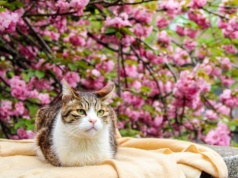 Pogoda na piątek | Słonecznie, ale dosyć chłodno