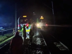 Pociąg uderzył w sarnę na trasie Warszawa-Siedlce. 100 pasażerów ewakuowanych do innego składu