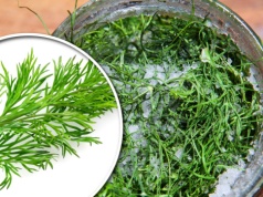 Zapomnij o opakowaniu po lodach! Tak przedłużysz świeżość koperku i to bez mrożenia