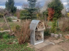 „Kupiłam murarki i zobaczyłam różnicę w plonach”. To tłumaczy modę wśród polskich działkowców