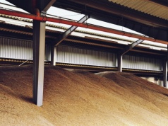 Wroński: Agroport stoi, zboże zalega. „Nikogo to nie obchodzi”