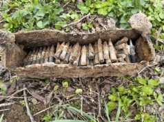 Wybuchowe znalezisko w sadzie. Rolnik znalazł skrzynię amunicji