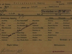 Odnaleziony po 80 latach – historia Wasi