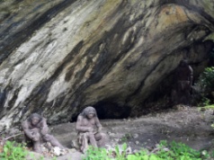 Neandertalczycy w Europie Środkowej polowali na żółwie błotne