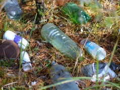 Jak codziennie dbać o środowisko?