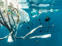 Wiadomo, jak bakterie radzą sobie na plastikach obecnych w morzu