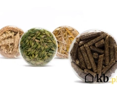 Pellet drożeje, więc sypią do pieca owies. Efekt nie zawsze jest taki jak by oczekiwali