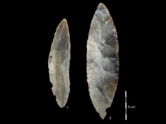 Prehistoryczny kamień zdradził moment, w którym świat przestał być światem gigantów