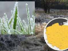 Mróz atakuje nocą. Spadki temperatur nawet do minus 8 stopni