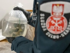 Polskie służby udaremniły przemyt ponad tysiąca koralowców z Indonezji