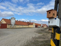 Bioasekuracja hodowli indyków w kontekście zagrożenia wirusem ptasiej grypy