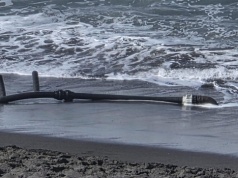 Tajemnicze rury na plaży w Puerto de la Cruz. Co tam robią?