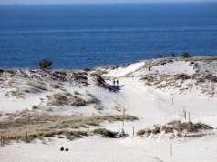 Brytyjskie media zachwycone. Chodzi o polski park narodowy. "Piękny i niepokojący"