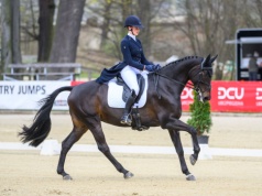 Strzegom Spring Open rozpoczęty. Ujeżdżenie otwiera sezon WKKW