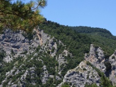 Plantacje bananów na Olimpie i gaj oliwny na poligonie. Skandal z dotacjami rolnymi w Grecji