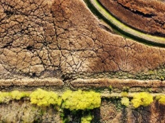 Ekstremalne susze i upały: do końca XXI w. zagrożą 1/3 ludzi na świecie