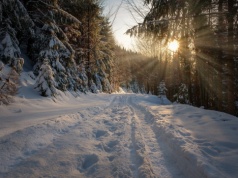 Beskidy: powyżej 1000 m n.p.m. wciąż panuje zima. Leży do 60 cm śniegu
