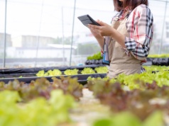 Składki KRUS 2026. Rolnicy muszą pilnować nowych stawek