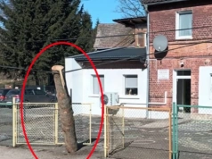 Niebezpieczny incydent przy szkole w Rząsinach. Z przejeżdżającej ciężarówki spadła bela drewna