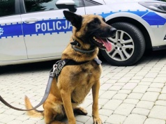 Policjanci apelują o opiekę nad zwierzętami