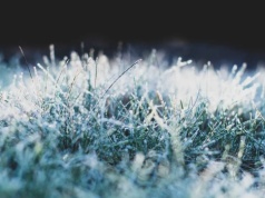 Nadchodzą mroźne noce. Jest ostrzeżenie dla 15 województw