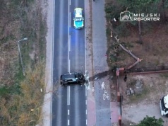 Kierowca lexusa uderzył w drzewo. Ojciec z córką trafili do szpitala