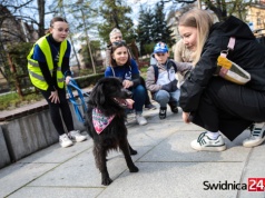 Mokre noski ze świdnickiego schroniska ruszyły w miasto, aby zachęcać do adopcji