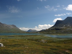 Przedśmiertne dowcipy skandynawskich herosów. Humor z krwi i ran