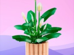 Zestaw LEGO Botanical Collection Skrzydłokwiat za 169 zł (cena kat. 259 zł) na Allegro